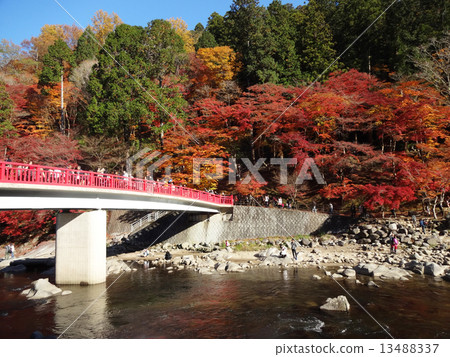 秋天香火Karami河 秋天香火Karami河 13488337