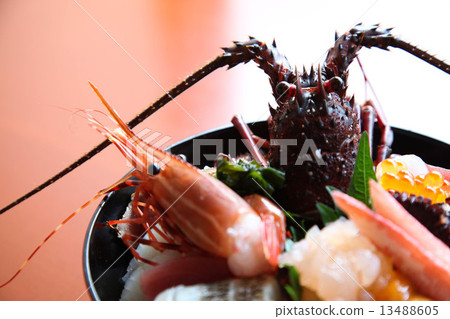 Bowl of rice topped with sashimi  13488605