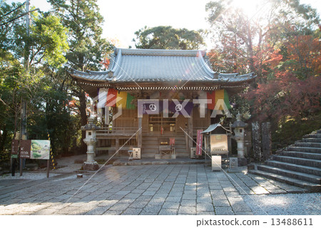 Late autumn Goto mountain bamboo temple Shikoku Shrine Plant 88th place Thirty-first Buddhist temple Late autumn Goto mountain bamboo temple Shikoku Shrine Plant 88th place Thirty-first Buddhist temple 13488611