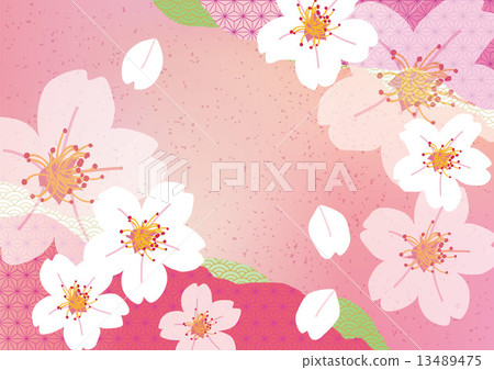 Sakura Sakura _ Pink Sakura Sakura _ Pink 13489475