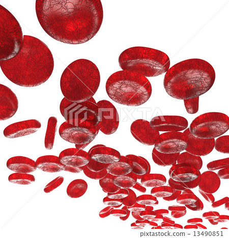 Erythrocyte 13490851