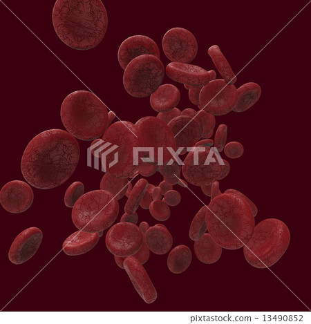 Erythrocyte 13490852