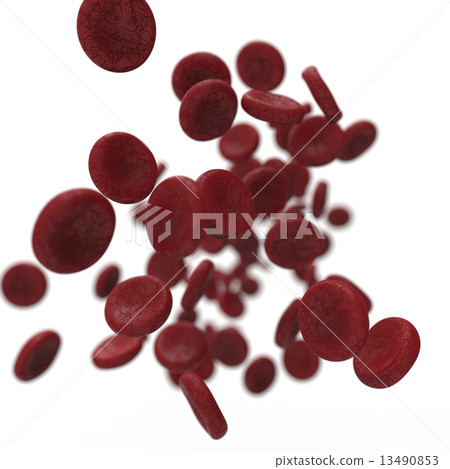 Erythrocyte 13490853