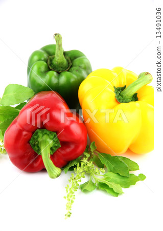 A Bell peppers Three colors on white Background. A Bell peppers Three colors on white Background. 13491036