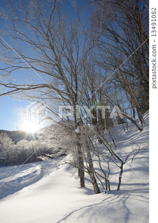 Snowy icy ice 13491082