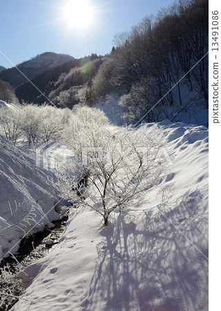 白雪皚皚的冰冰 13491086