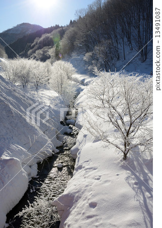 白雪皚皚的冰冰 13491087