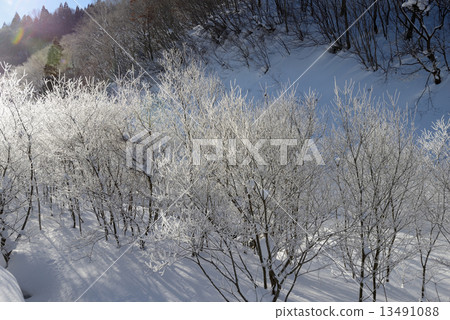 白雪皚皚的冰冰 13491088