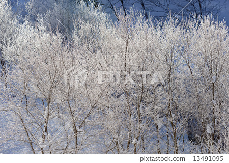 Snowy icy ice 13491095