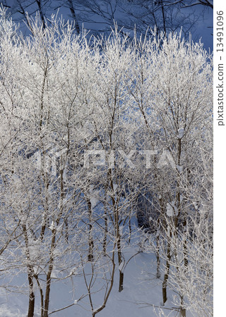 Snowy icy ice Snowy icy ice 13491096