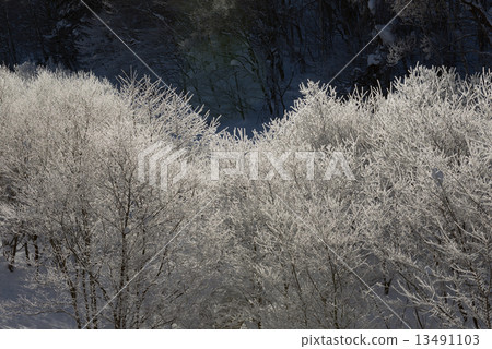 白雪皚皚的冰冰 白雪皚皚的冰冰 13491103