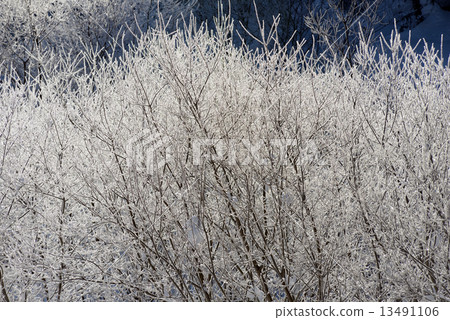 白雪皚皚的冰冰 白雪皚皚的冰冰 13491106