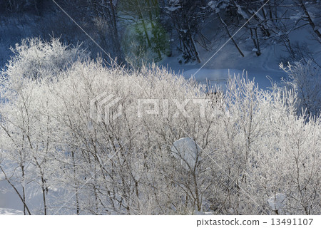 Snowy icy ice Snowy icy ice 13491107