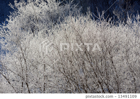 白雪皚皚的冰冰 白雪皚皚的冰冰 13491109