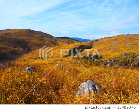 冬天秋吉台 冬天秋吉台 13492370