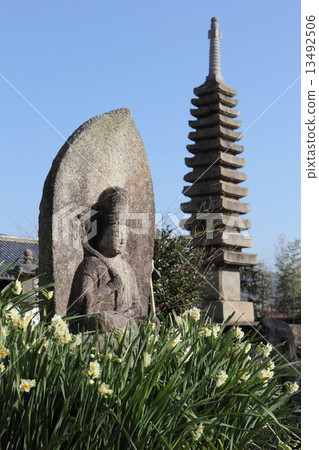 王集寺的水仙花 13492506