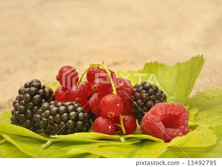 fresh berries on leafs 13492795