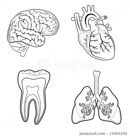Vector medical icons Vector medical icons 13493249