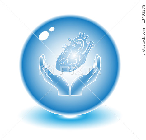 Protection of heart Protection of heart 13493278