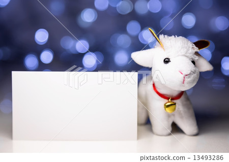 Sheep with blank card Sheep with blank card 13493286