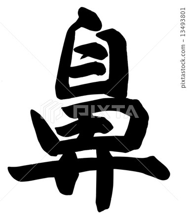鼻子 13493801