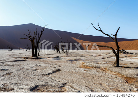 Sossusvlei beautiful landscape of death valley, namibia 13494270