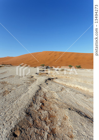 Sossusvlei beautiful landscape of death valley, namibia 13494273
