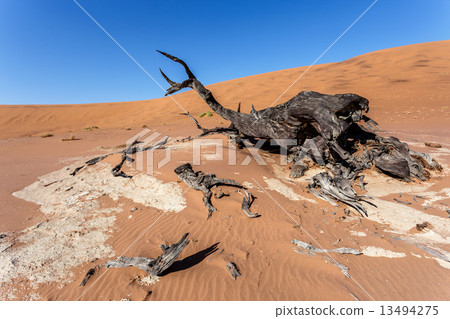 Sossusvlei beautiful landscape of death valley, namibia 13494275