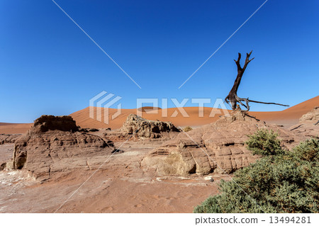 Sossusvlei beautiful landscape of death valley, namibia 13494281