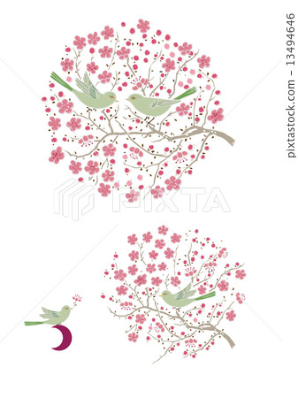 Ume and Ugui 13494646