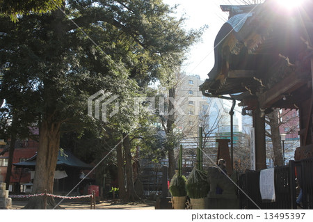 Devil goddess 13495397