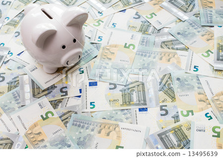 Piggy bank surrounded by five Euro notes 13495639