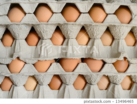 eggs in cartons eggs in cartons 13496465