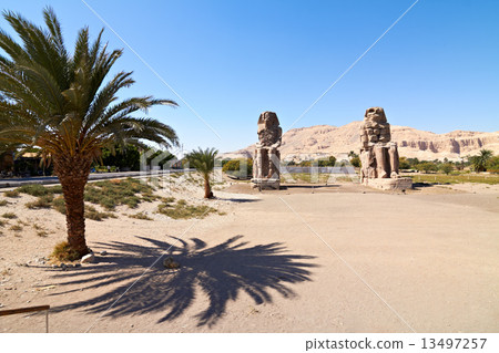 Colossi of Memnon Colossi of Memnon 13497257