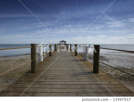 Jetty on the beach Jetty on the beach 13497937