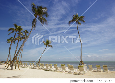 Canvas Chairs and palms on tropical beach Canvas Chairs and palms on tropical beach 13497938
