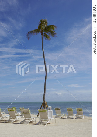 Canvas Chairs and palms on tropical beach Canvas Chairs and palms on tropical beach 13497939