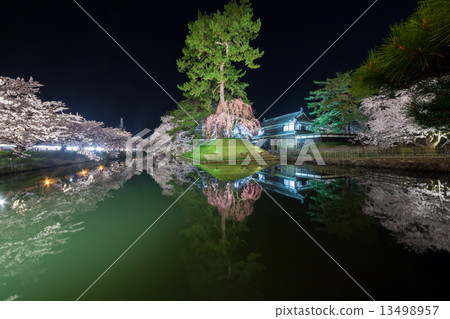 Hirosaki Castle Yamate gate's night evening cherry blossoms 13498957