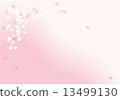SakuraFubuki  13499130