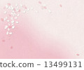 SakuraFubuki  13499131