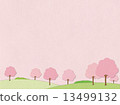Cherry blossoms and cherry blossoms snowstorm 13499132