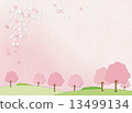 Cherry blossoms and cherry blossoms snowstorm 13499134