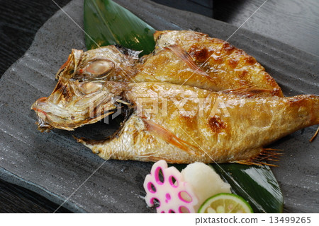 野黑郎 野黑郎 13499265