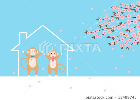 猴子的夫婦和房子 13499743