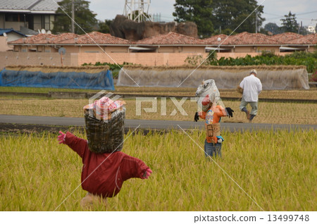 Akiruno十月 13499748