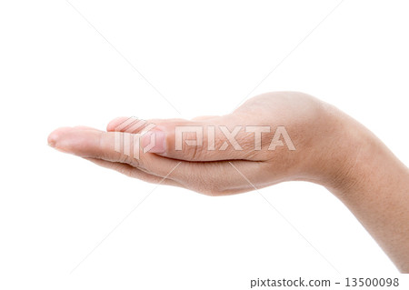 Open woman hand on white background 13500098