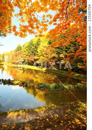 Lantern autumnal light Lantern autumnal light 13500704