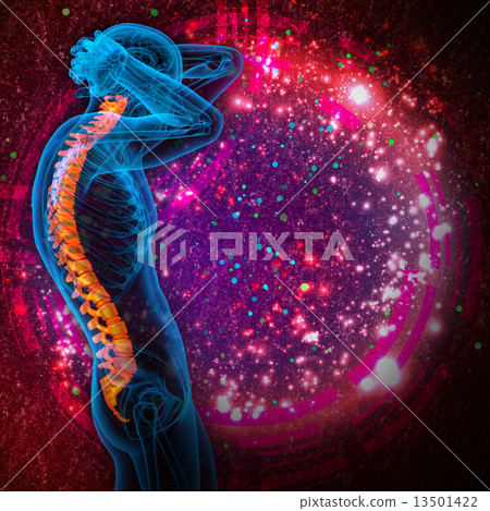 3d render medical illustration of the human spine 3d render medical illustration of the human spine 13501422