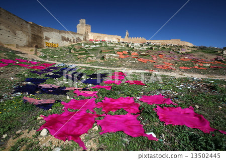 AFRICA MOROCCO FES 13502445