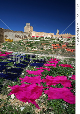 AFRICA MOROCCO FES MEDINA  13502446